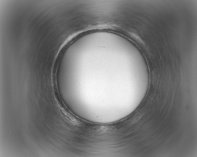 X0000053111412200508081213