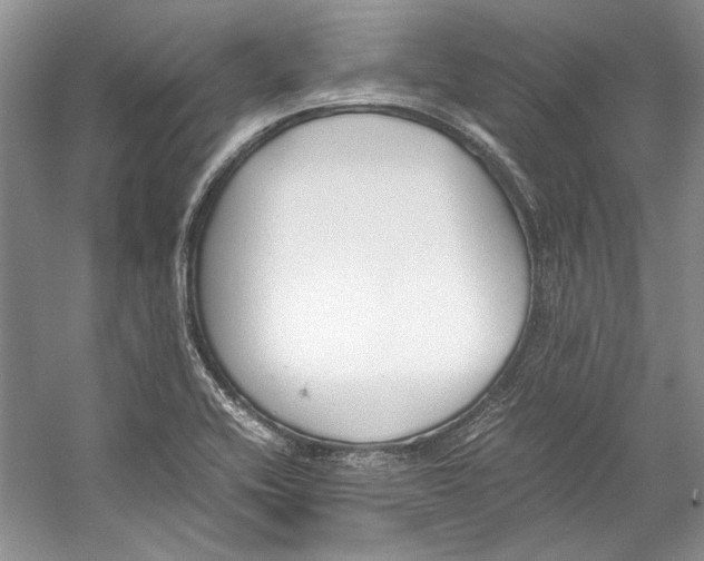 X0000053111416200508081213