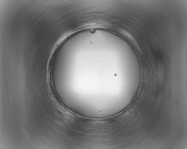 X0000053111419200508081213