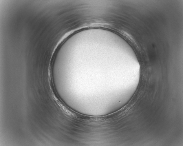 X0000053111420200508081213