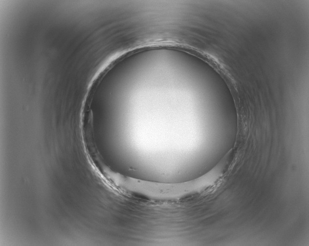 X0000053111422200508081213