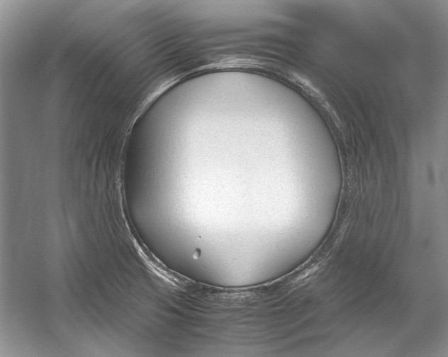 X0000053111425200508081213