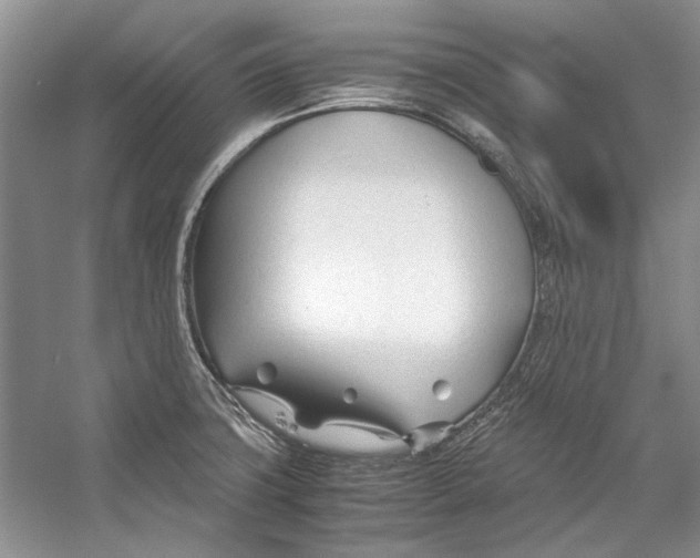 X0000053111427200508081213