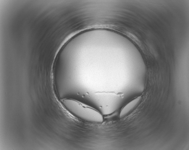 X0000053111428200508081213