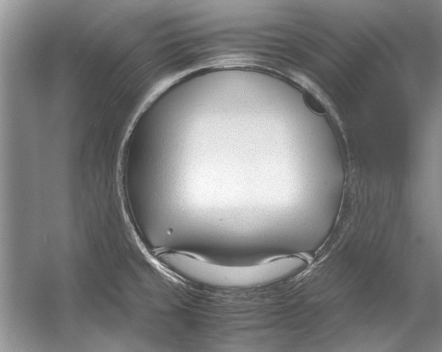 X0000053111429200508081213