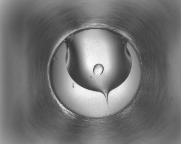 X0000053111430200508081213