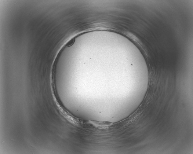 X0000053111431200508081213