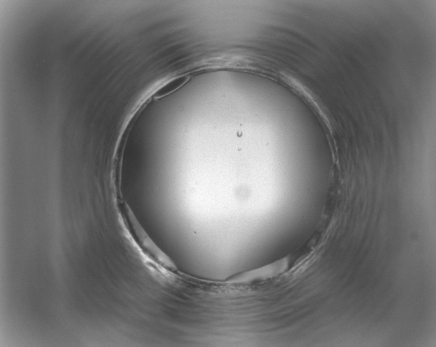 X0000053111434200508081213