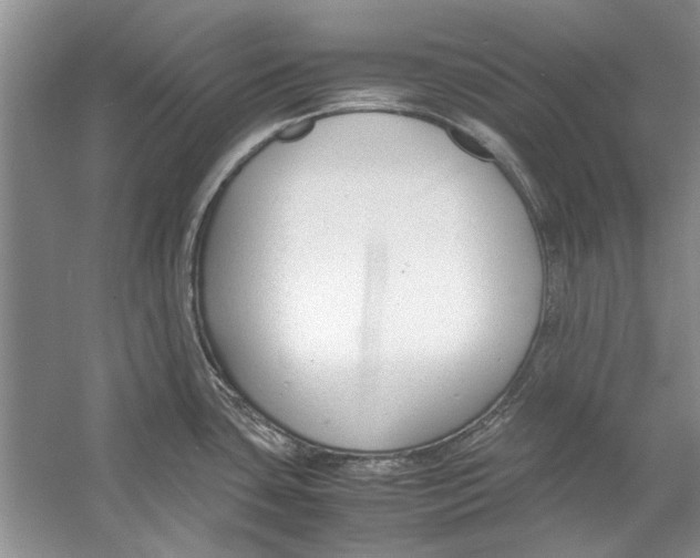 X0000053111435200508081214