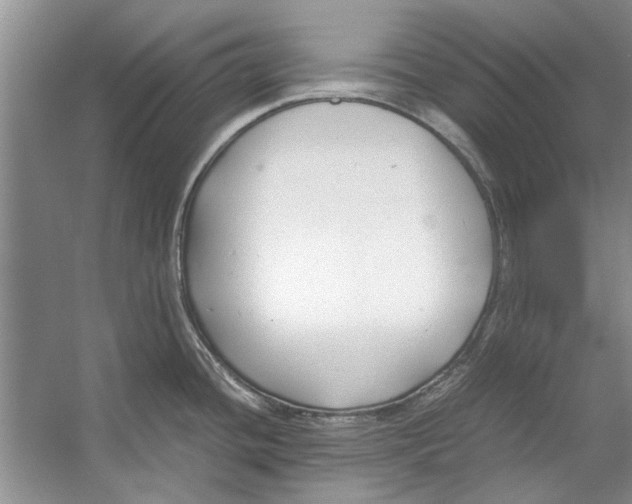 X0000053111436200508081214