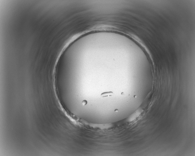 X0000053111437200508081214