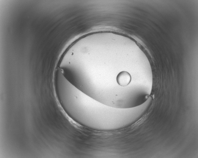 X0000053111438200508081214