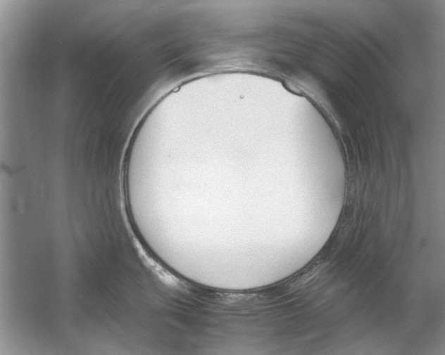 X0000053111439200508081214