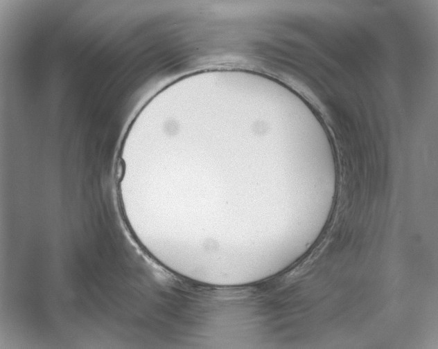 X0000053111440200508081214