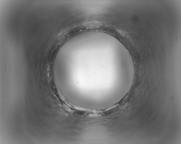 X0000053111445200508081213