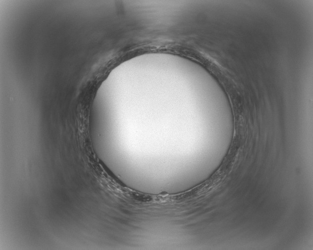 X0000053111447200508081213