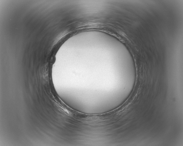 X0000053111450200508081213