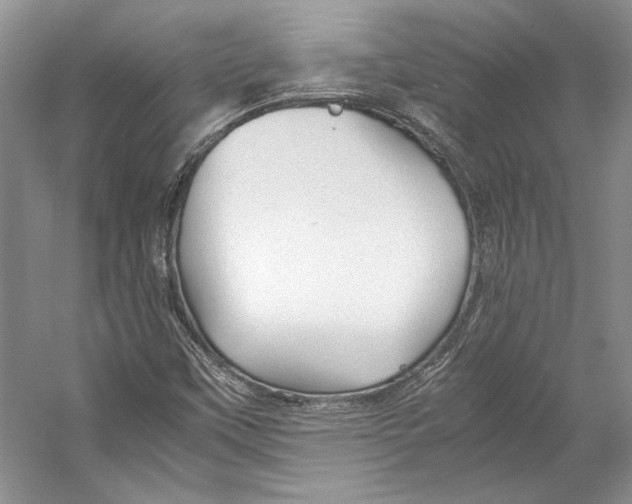 X0000053111451200508081213