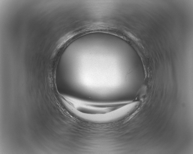 X0000053111453200508081213