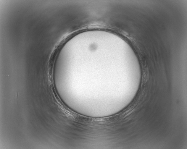 X0000053111454200508081213