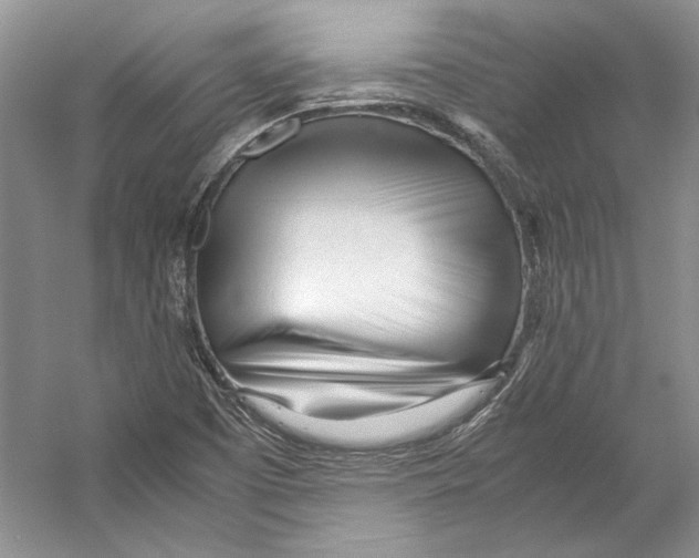 X0000053111457200508081213