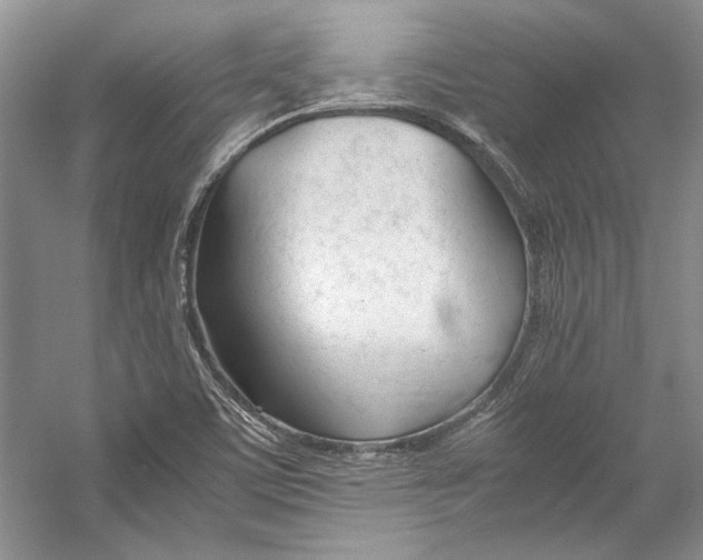 X0000053111459200508081212