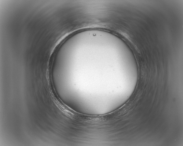 X0000053111460200508081212