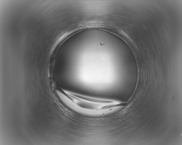 X0000053111461200508081212