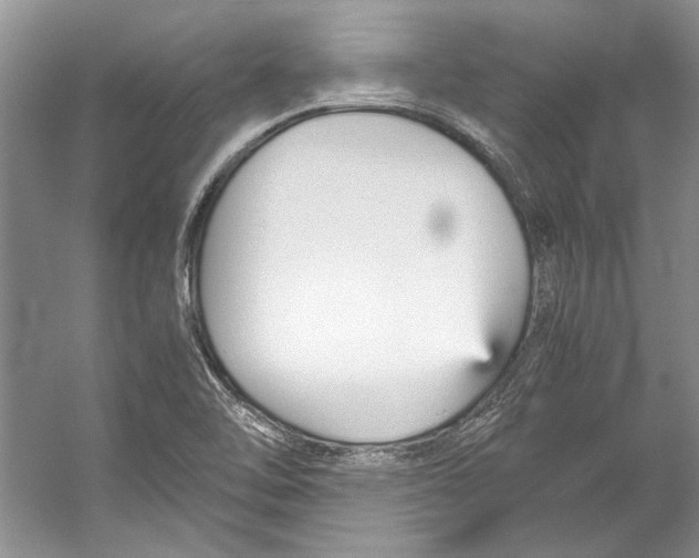 X0000053111462200508081212