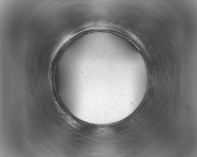 X0000053111464200508081212