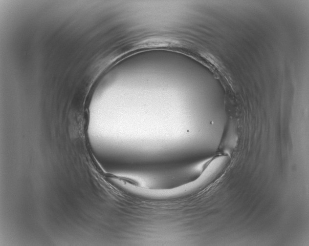 X0000053111465200508081212