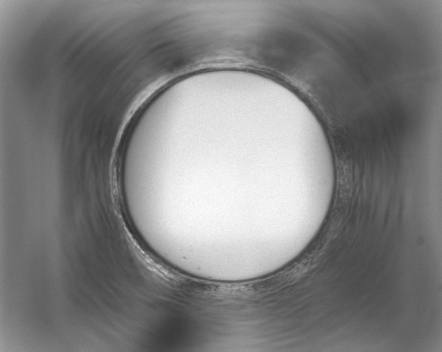 X0000053111466200508081212