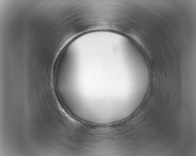 X0000053111468200508081212