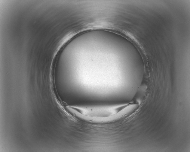 X0000053111469200508081212