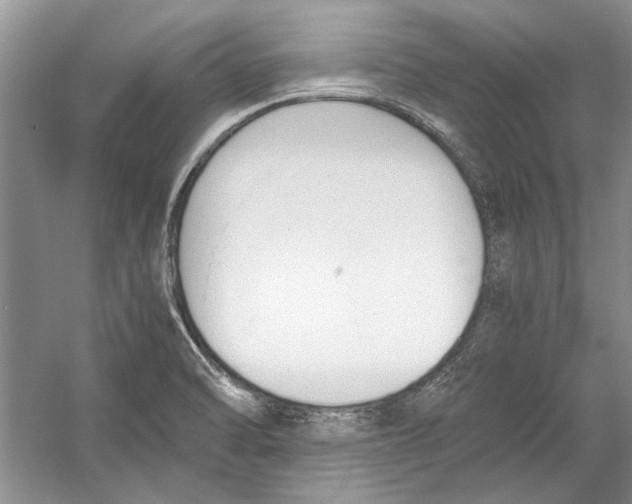 X0000053111470200508081212