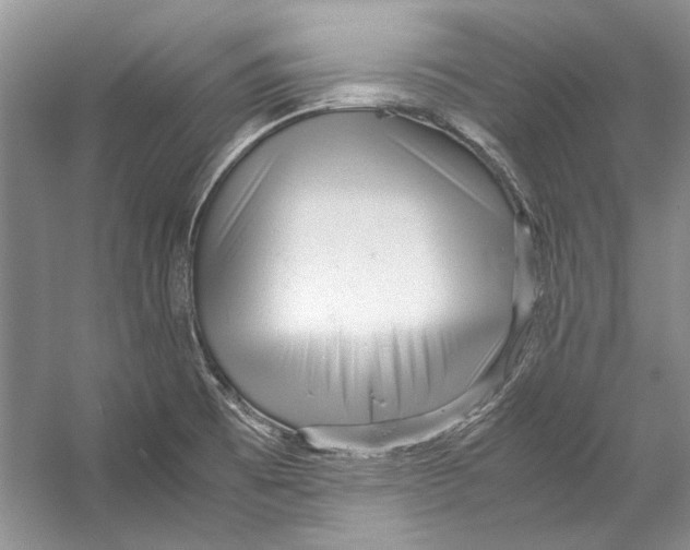 X0000053111473200508081212