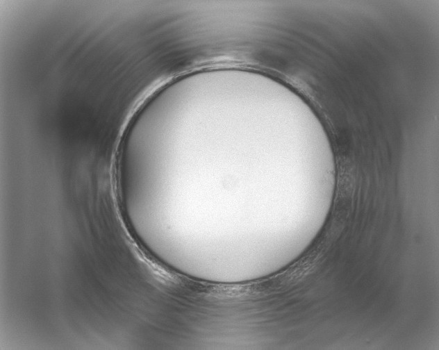 X0000053111474200508081212