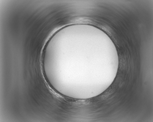 X0000053111478200508081212