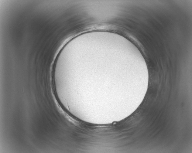 X0000053111483200508081212