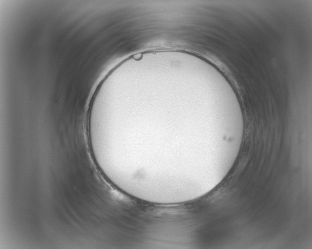 X0000053111486200508081212