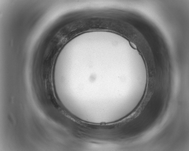 X0000053111487200508081212