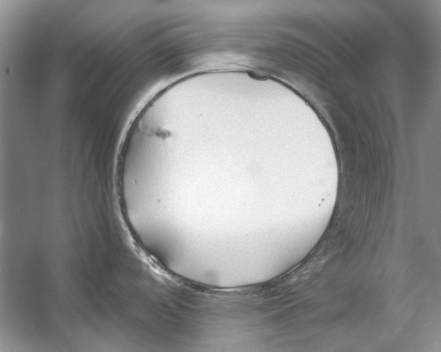 X0000053111488200508081212