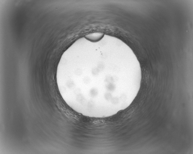 X0000053111489200508081211