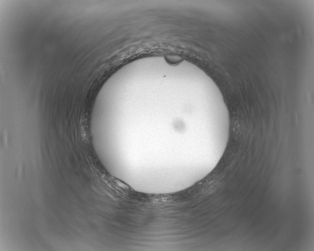 X0000053111490200508081211