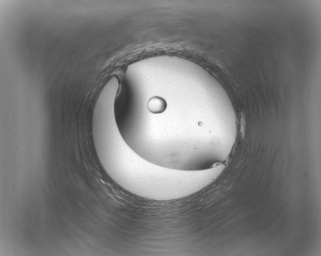 X0000053111492200508081211