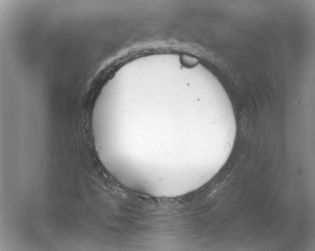 X0000053111494200508081211