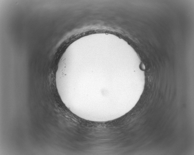 X0000053111495200508081211