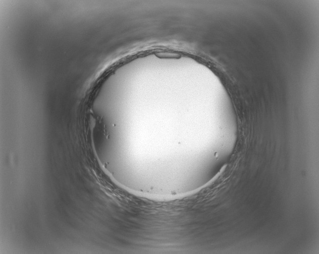 X0000053111496200508081211