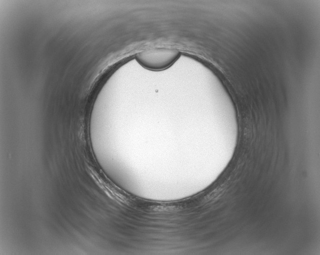 X0000053111499200508081211