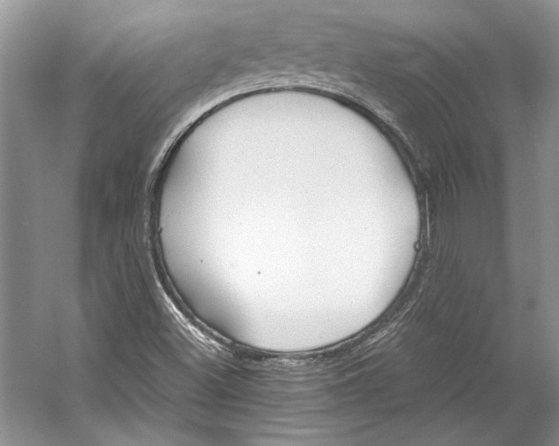 X0000053111500200508081211